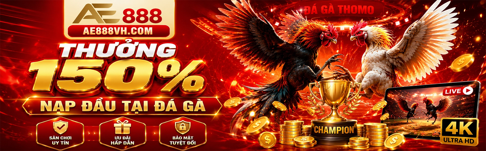 Banner ae888
